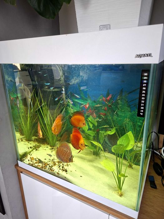 Akwarium opti set 130