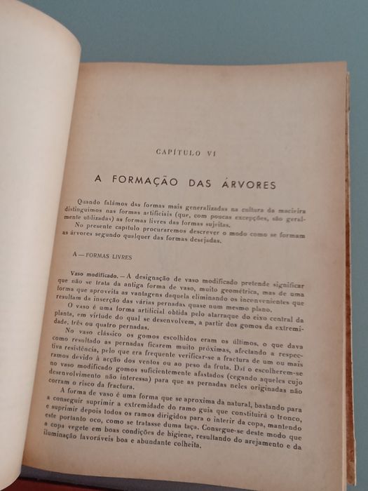 As Pomóideas (Macieira & pereira) Manual Enciclopédico do Agricultor Português. Duarte Amaral Fruticultura especial, fruteiras alimentares.   1954