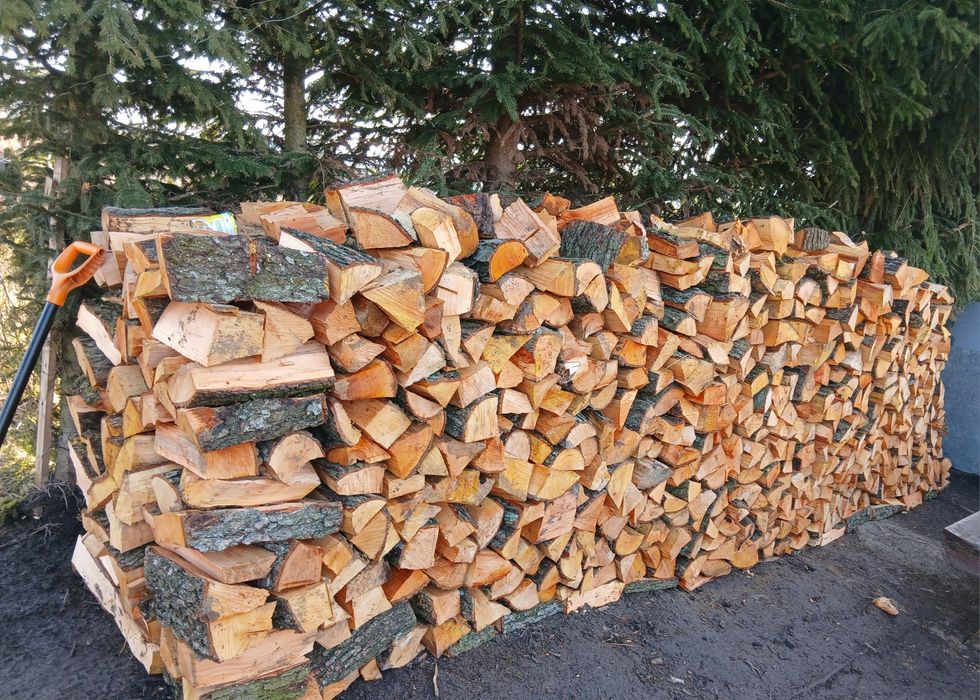 Olcha rąbana . Zapraszam