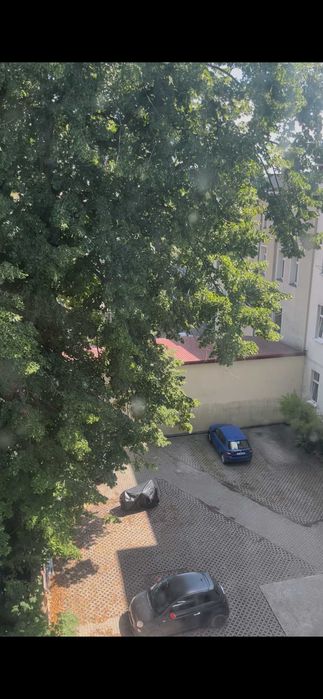 Zdjęcie 7