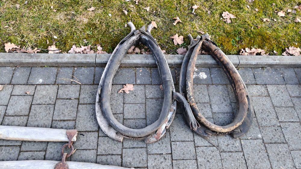 Chomąto orczyk konny