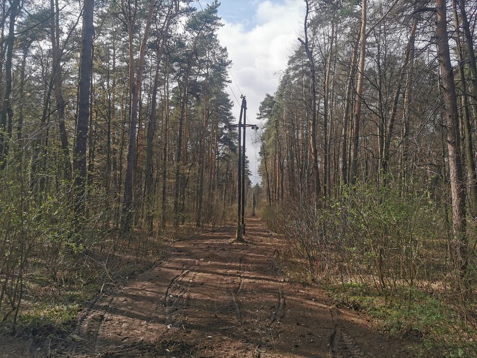 Usługa rębakiem wycinka drzew Mulczer powierzchowny Koszenie