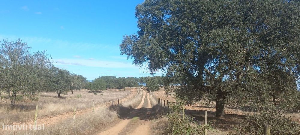 Terreno rústico com aproximadamente 70.000 m2  (7 hectares) para venda
