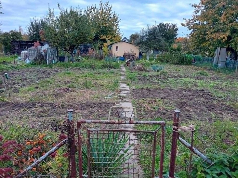 Sprzedam działkę ROD im. Księcia Bolka (Szosa Legnicka) nr 147