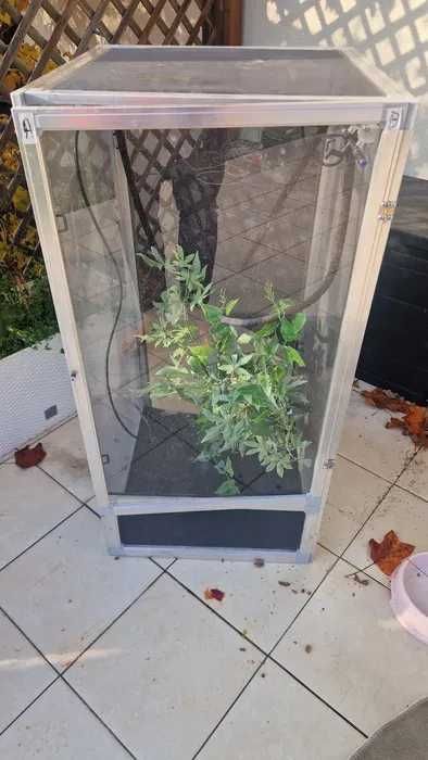 terrarium dla gadów