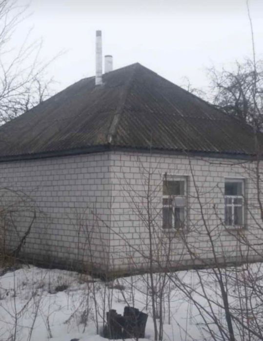 Прилуцький район Чернігівська область с. Линовиця продам будинок
