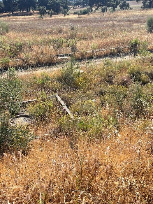 Terreno Urbano em Avis