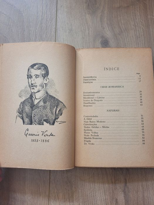 O Livro de Cesário Verde