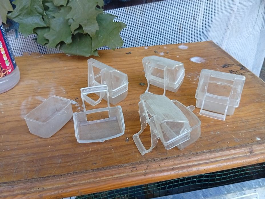 Caixas comedouros pássaros