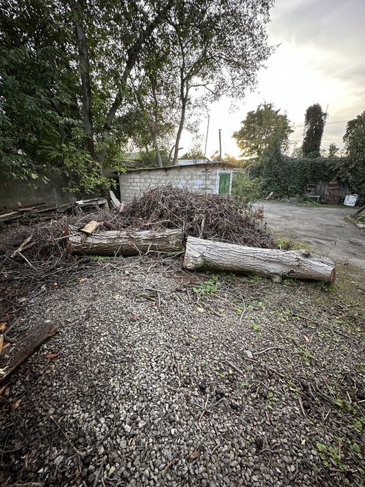 Деревина горіх