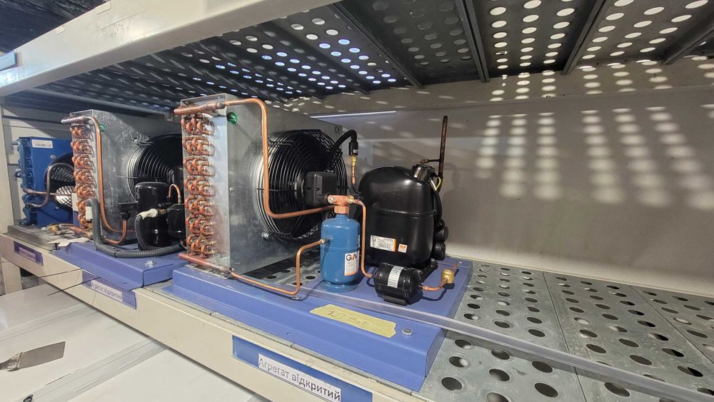 Bitzer, Frascold, Danfoss, Coperland для заморозки зберігання ягоди