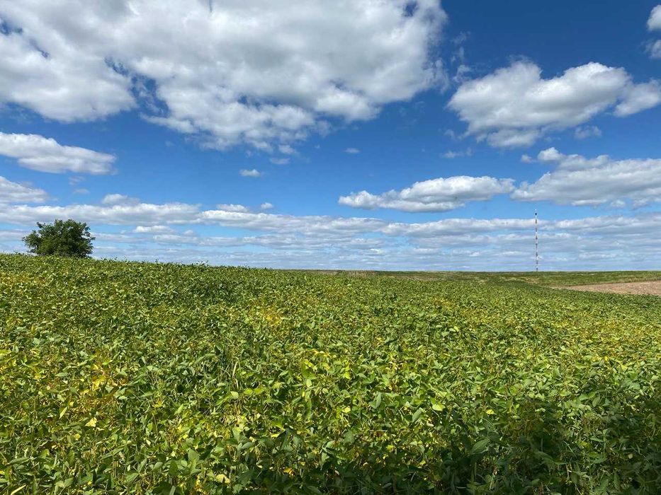 Продам ділянку біля Рівного