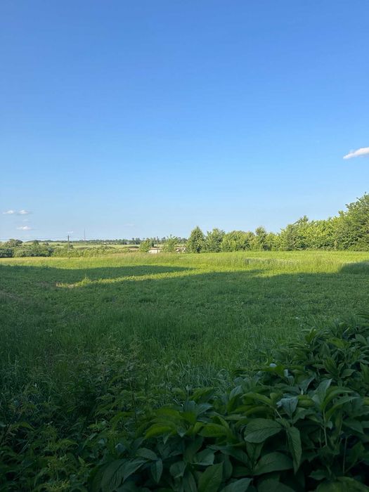 (5) Продам земельну ділянку в Лукашівці 4422