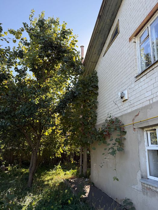 Будинок в місті Бахмач, вулиця Кобця Дмитра, 15