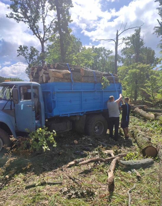 Дрова ДУБОВІ, БЕРЕЗОВІ, ВІЛЬХОВІ. Найкраща ціна в регіоні! Фастів.
