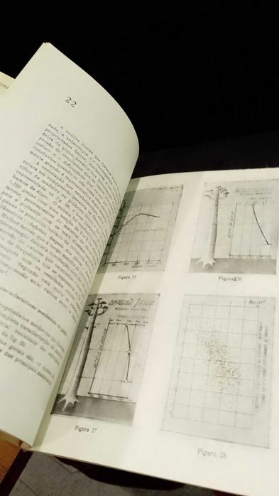 A Aplicação Racional da Madeira de Pinho na Construção Civil