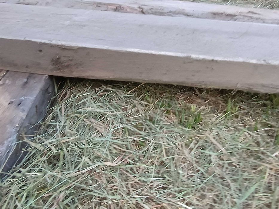 Bale dębowe sezonowane