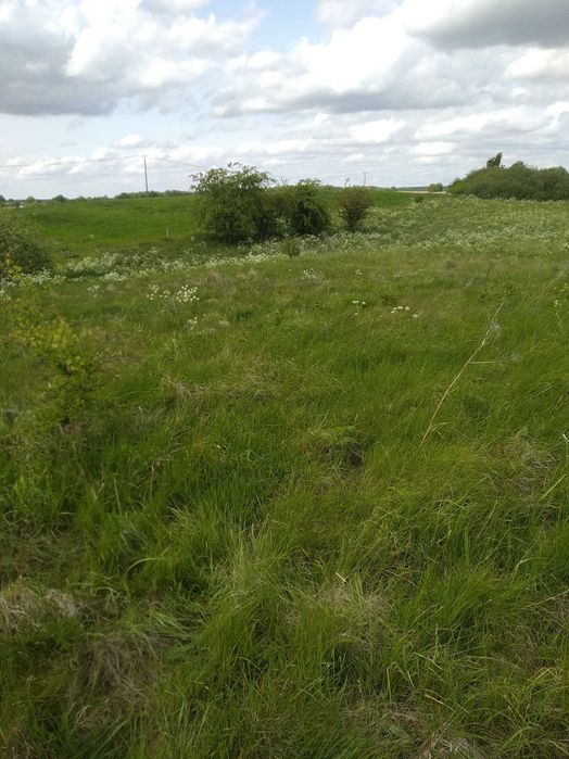 Bezpośrednio    działki      blisko      miasta     i     lasu.