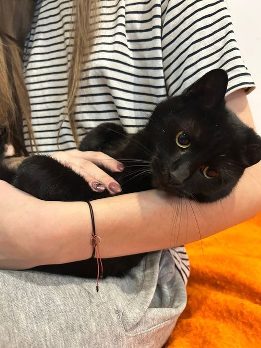 Bakuś szuka domu na zawsze