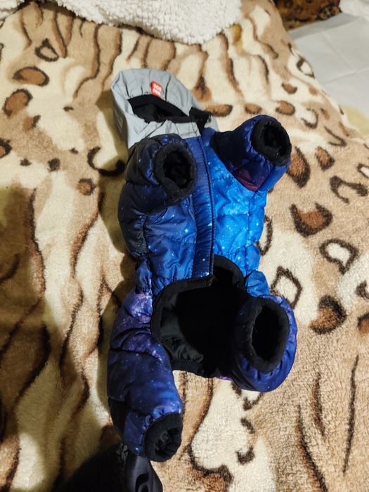 Комбінезон waudog xs 22