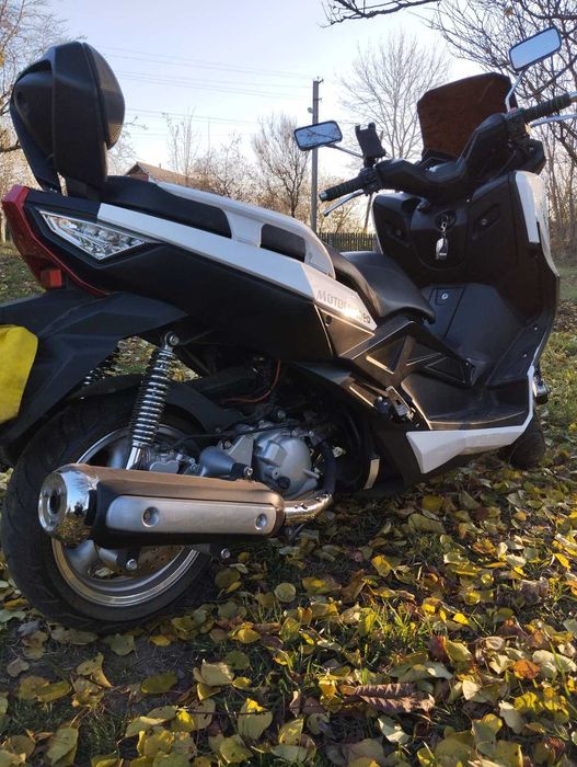 Leader ML 300maxi 2019