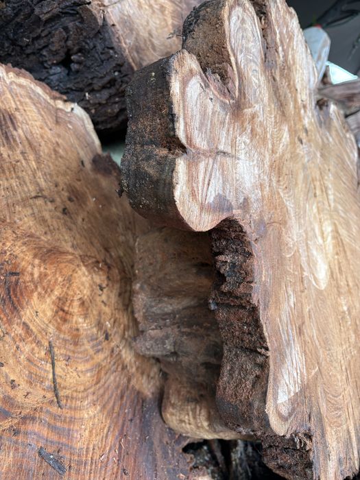 Madeira mesas de centro de Eucalyptus australiano vermelho