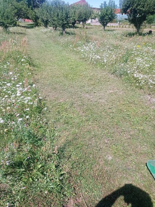 Frezowanie Pni Mulczer koszenie frezarka czyszczenie dzialek!