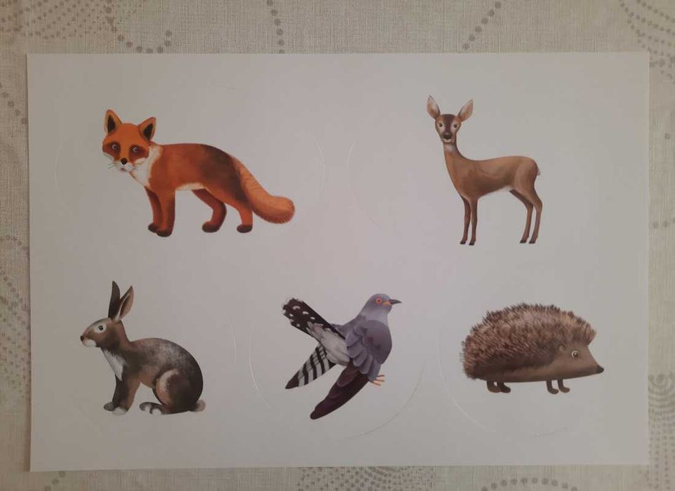 Pobawmy się razem - inscenizacje 4 latki - 12 plansz A3 w dużej teczce