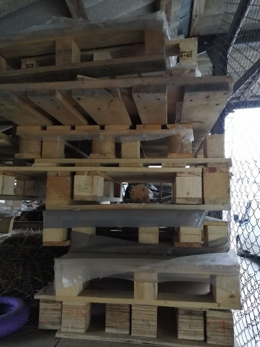 продам європіддони