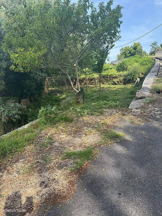 Terreno  para venda