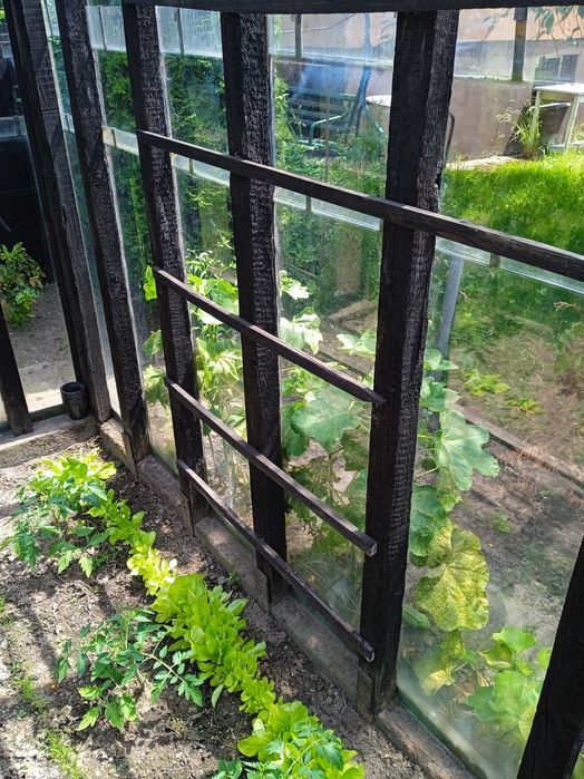 Szklarnia do przeniesienia