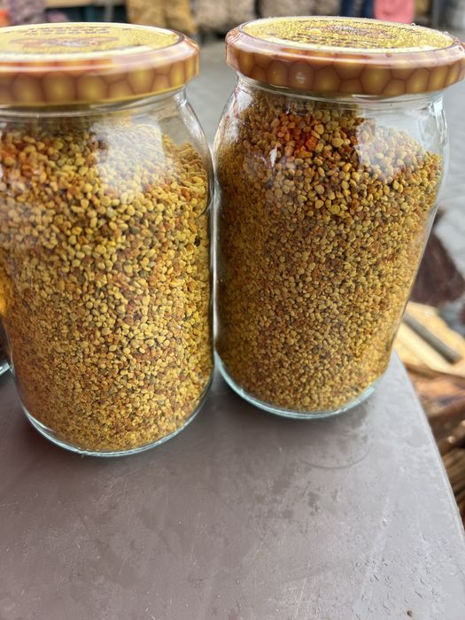 Pylek pszczeli tegoroczny