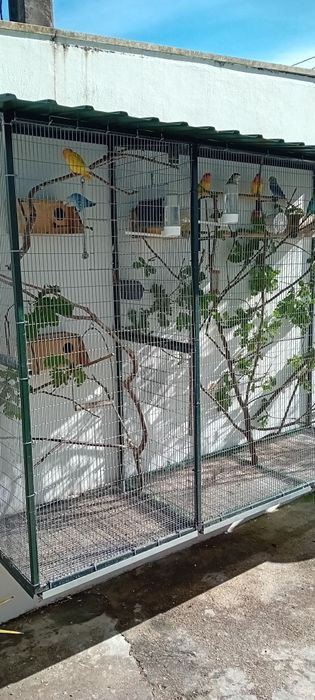 Gaiola, viveiro com 2 mt