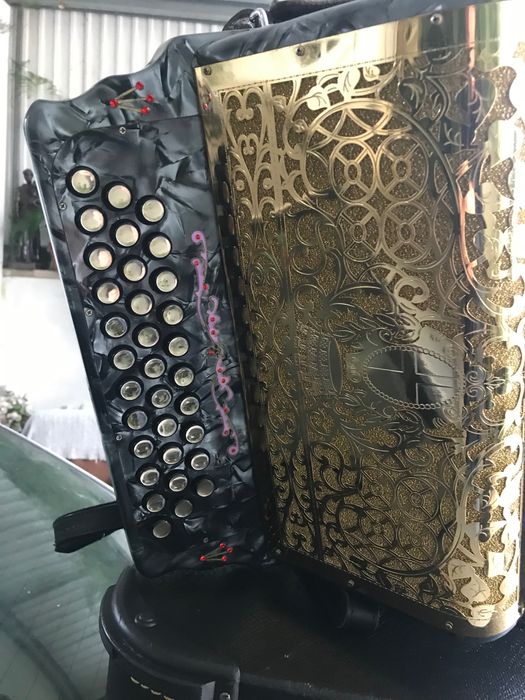 Vendo concertina semi nova da mesma fábrica da pedrosini em SOL DO FA