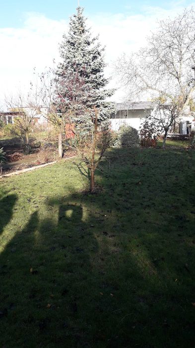 Działka ogrodowa ROD