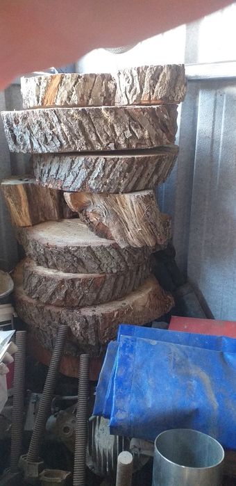 Plaster drewniany dąb, buk, kasztan