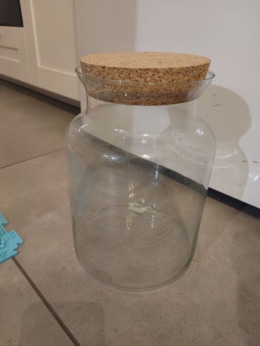 Słój do lasu w słoiku