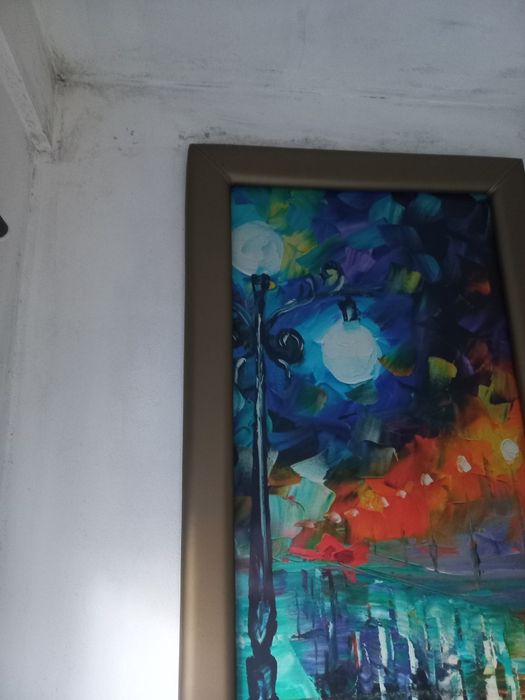 Vendo tapa portas urgente preço so hoje