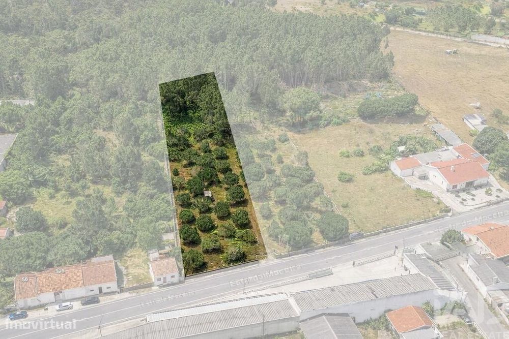 Terreno para construção em Marinha Grande