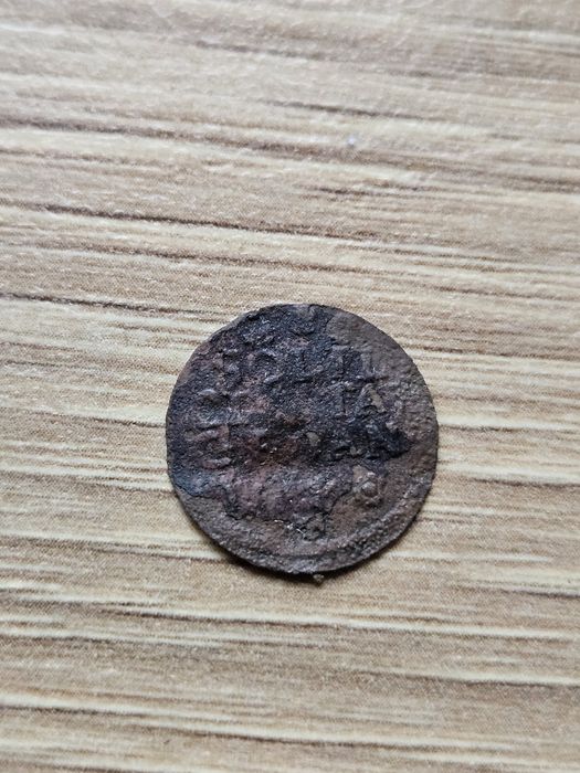 Szeląg Gdańsk, August III Sas