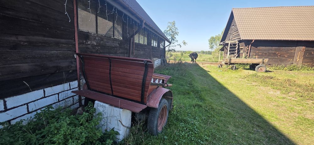 Bryczka konna  rydwan