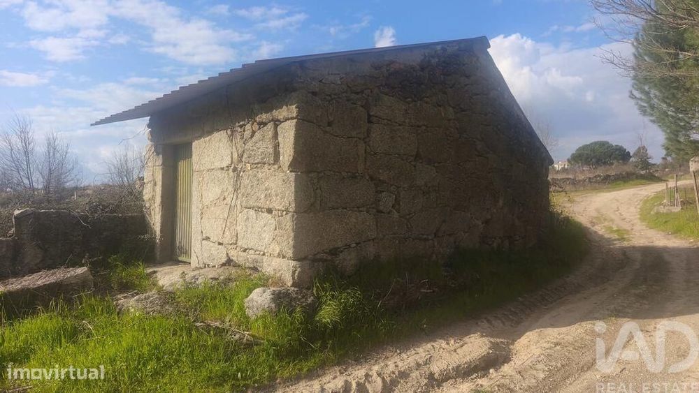 Terreno Agrícola em Seixo da Beira