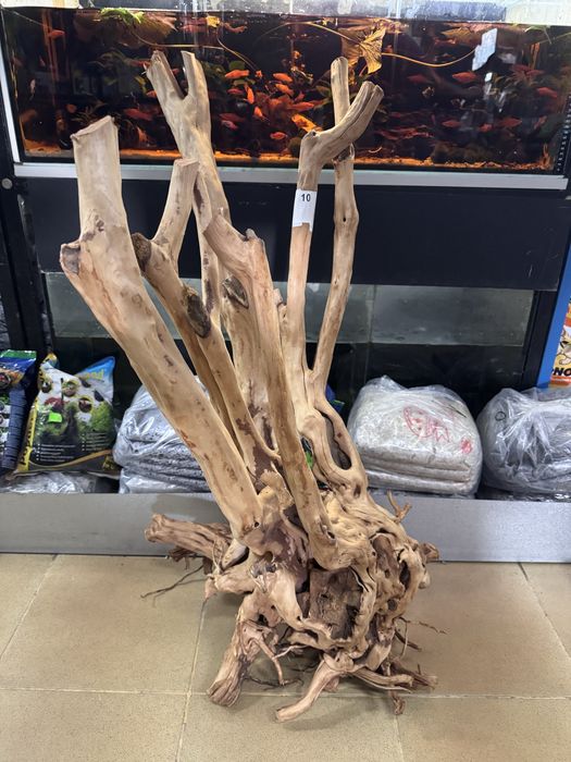Nr10 Korzeń stump wood XXL do akwarium  Odbiór osobisty sklep zoologiczny studnio zoo Mińsk mazowiecki ul targowa 5/7