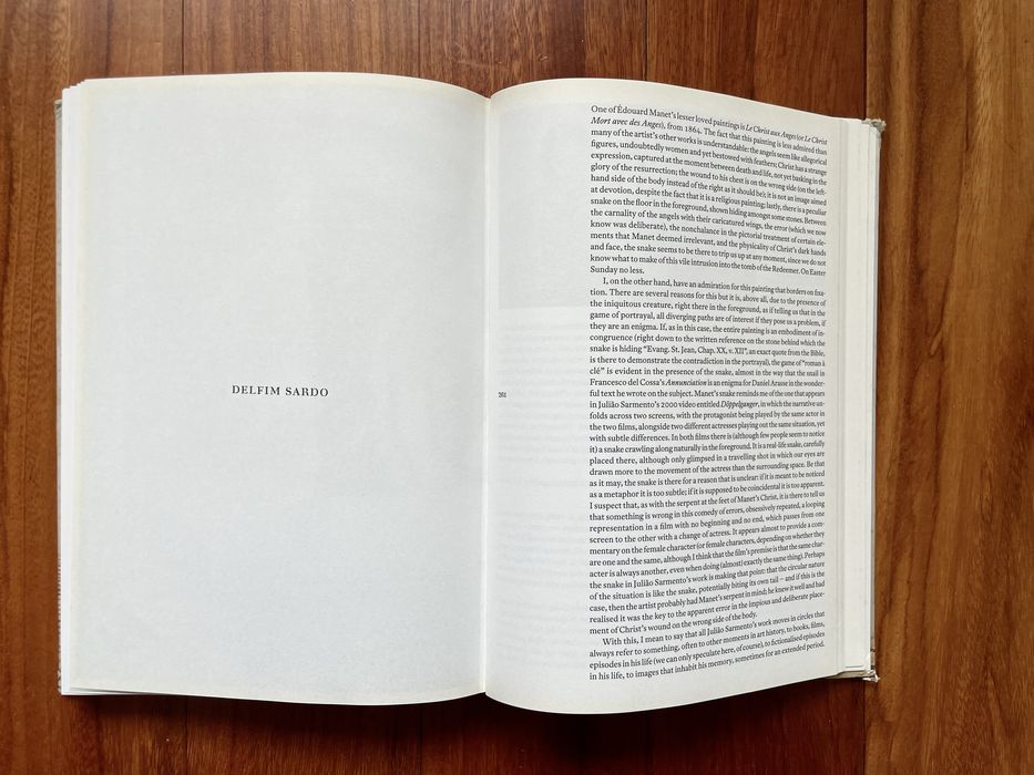 Delfim Sardo - Julião Sarmento: Risco Inerente/Inherent Risk