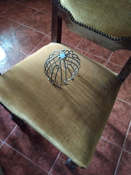 Cogumelo para algeros