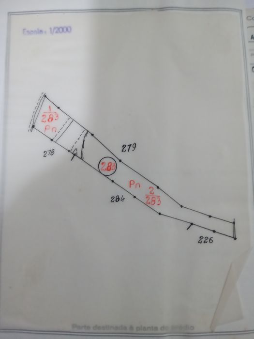 3560 m² Cabeça Gorda - Abrantes