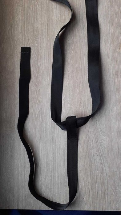 Cintos segurança para ovinho