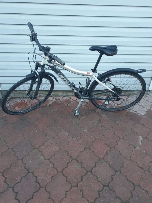 Rower Specialized Ariel