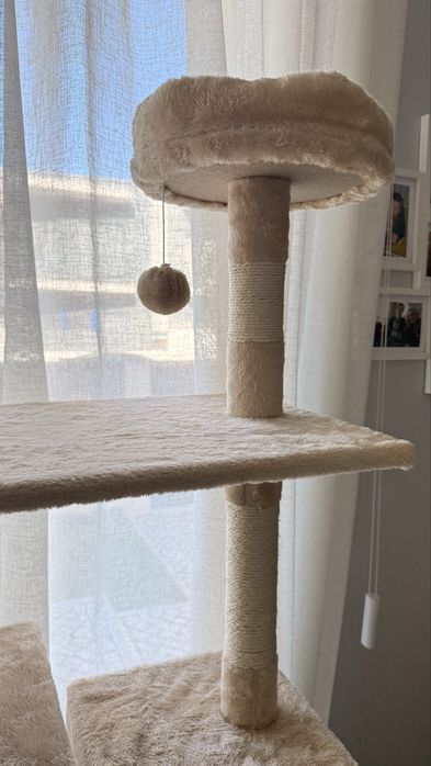 Arvore arranhador gatos
