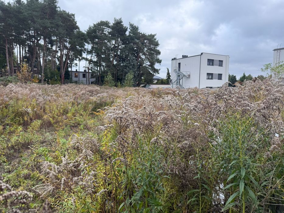 Oddam w dzierżawę działkę